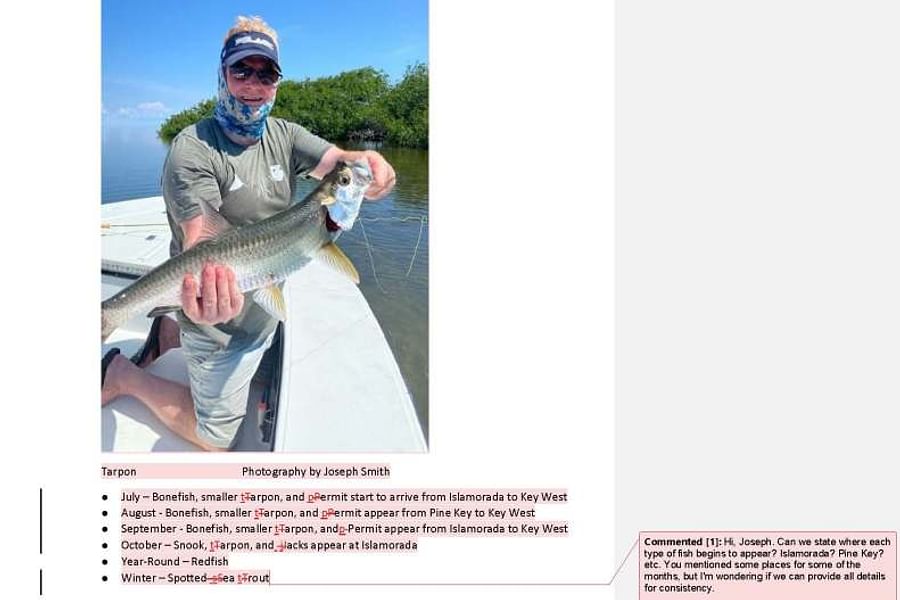 fact-checking service for authors