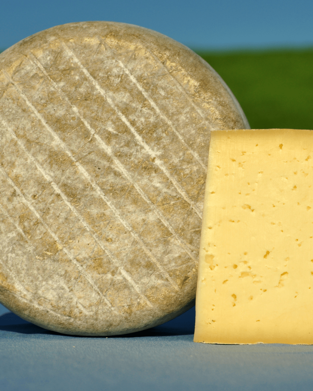 artisanal cheese wheel