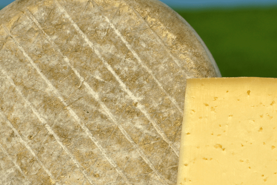 artisanal cheese wheel