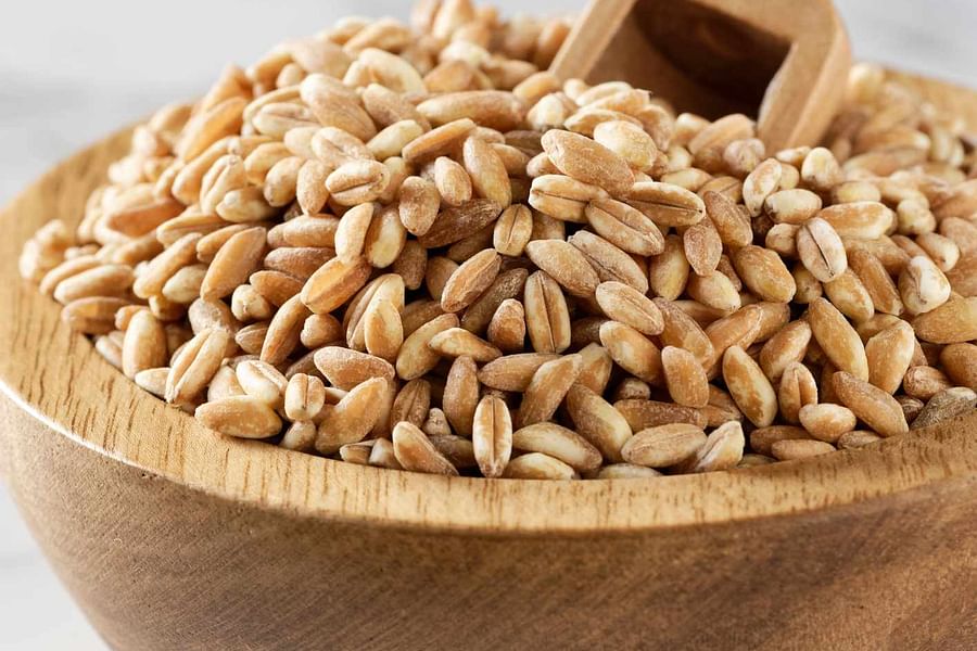 Grain & Sip craft beer