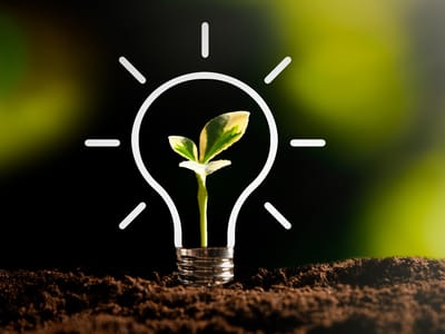 The Role of Cost Estimation in Environmental Sustainability