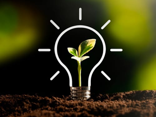 The Role of Cost Estimation in Environmental Sustainability