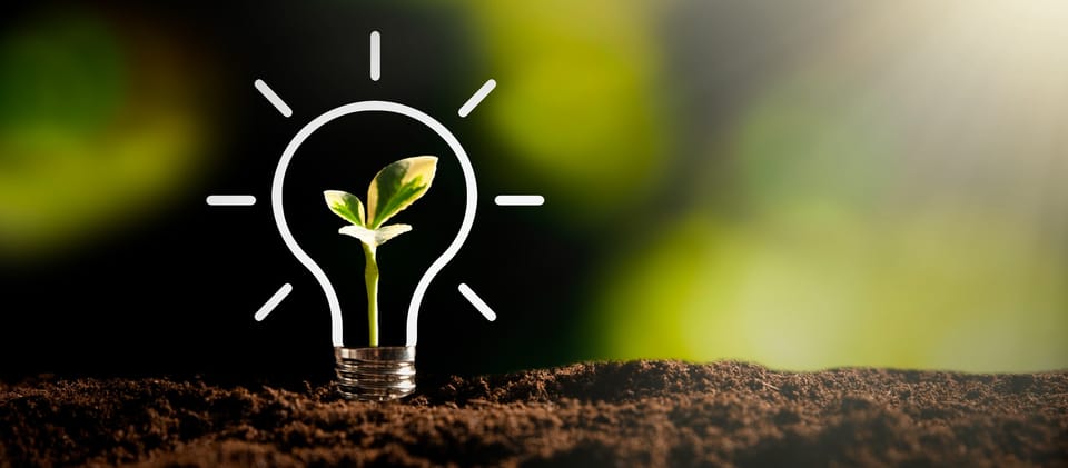 The Role of Cost Estimation in Environmental Sustainability